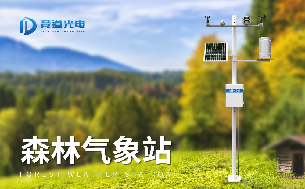丛林情况监测站