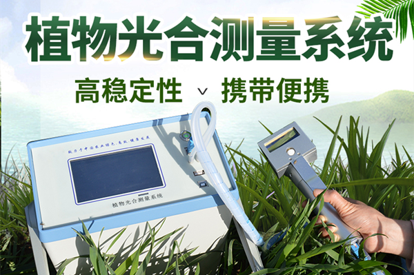 便携式光合仪-光合感化测定仪
