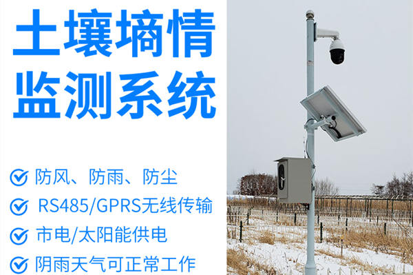 泥土墒情监测体系手艺参数