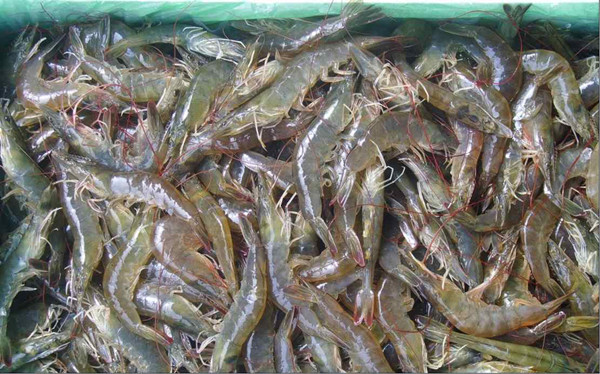 水产物检测仪器装备