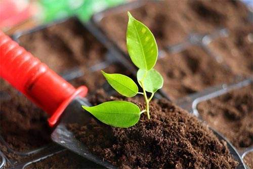 便携式泥土营养速测仪改进泥土施肥任务 便携式泥土营养速测仪改进泥土施肥任务