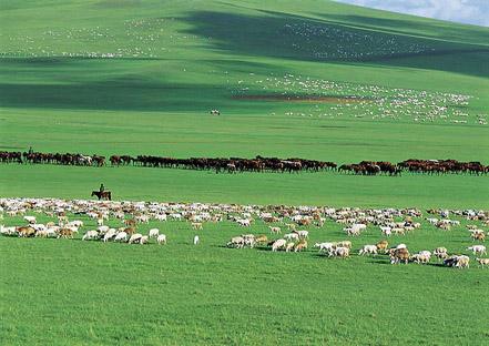 草原景象形象情况监测系统 草原景象形象情况监测系统