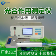 测定光合感化增进火龙果的发展