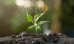 农业景象形象站若何停止数据处置